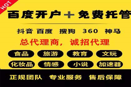 SEM优化策略案例分析